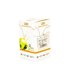 Ampoule LED 3W E27 6500K