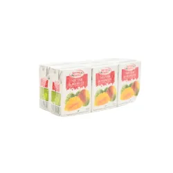 NECTAR Mangue 6X20CL