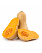 COURGE BUTTERNUT /KG