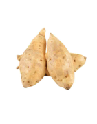 PATATE DOUCE CHAIR BLANCHE /KG