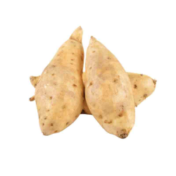 PATATE DOUCE CHAIR BLANCHE /KG